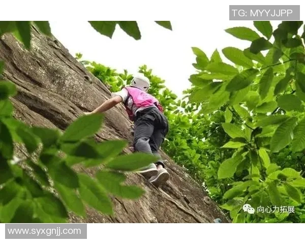 成都极限运动队的热潮与节奏探秘:极限运动的未来之路