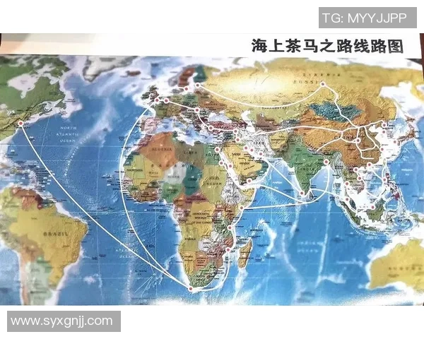 茶叶的文化传承与健康价值探索：从古至今的茶道与茶品创新之路